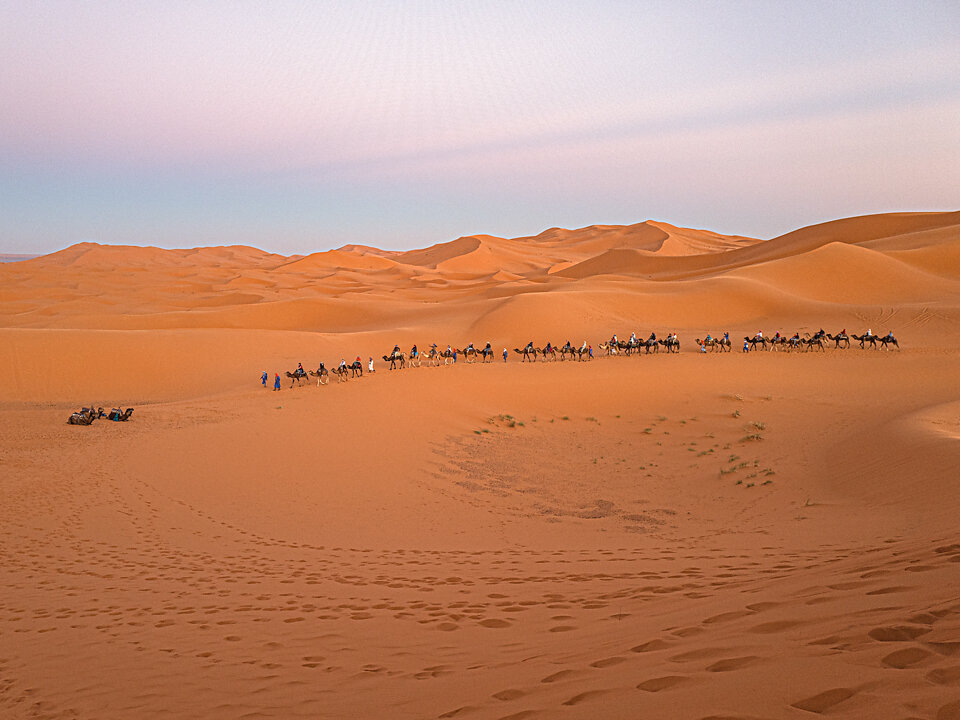 Desert Trail