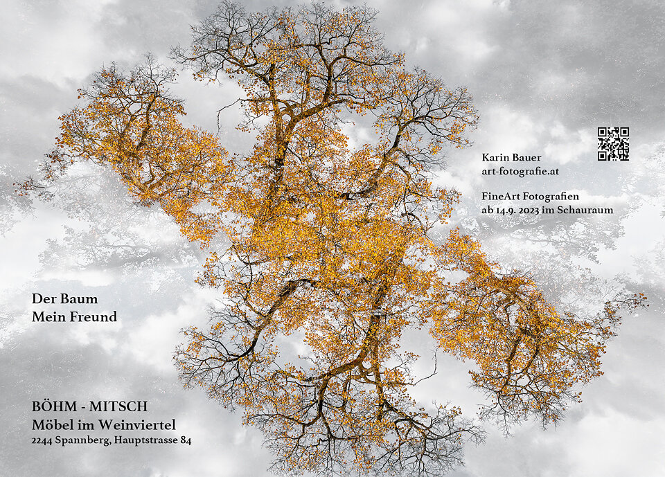 13x18-qr-Der-Baum-mein-Freund-Mitsch-Bohm.jpg