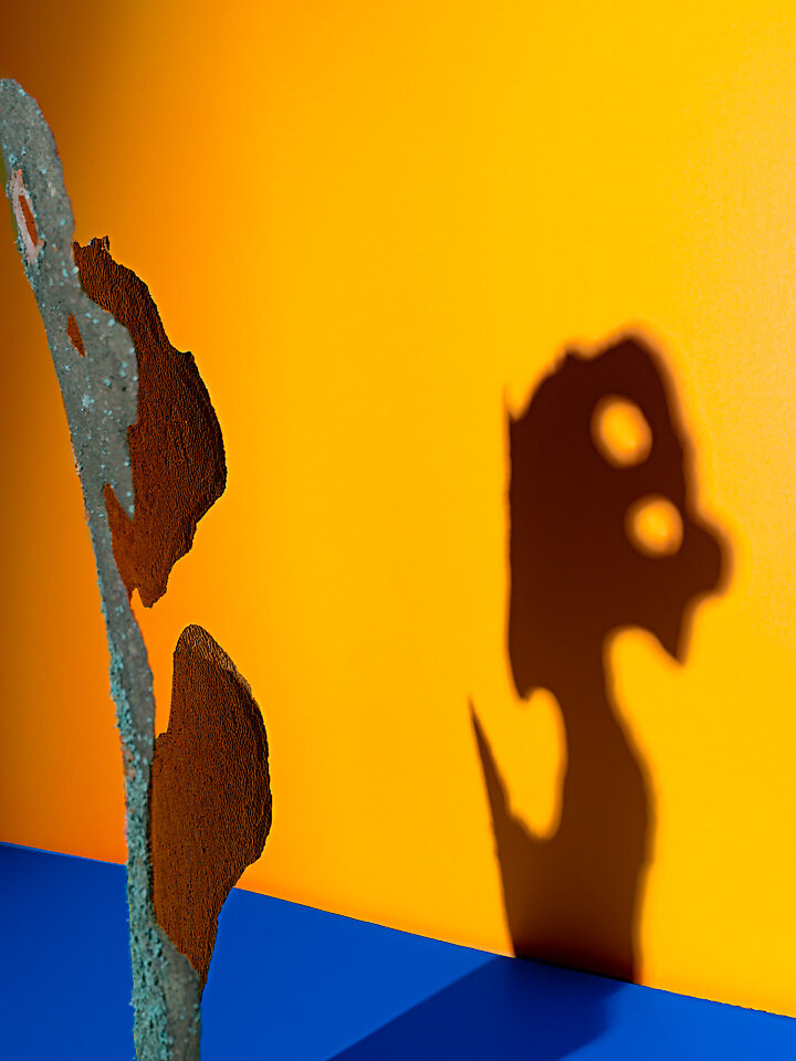 Ich komme dich besuchen, Schatten