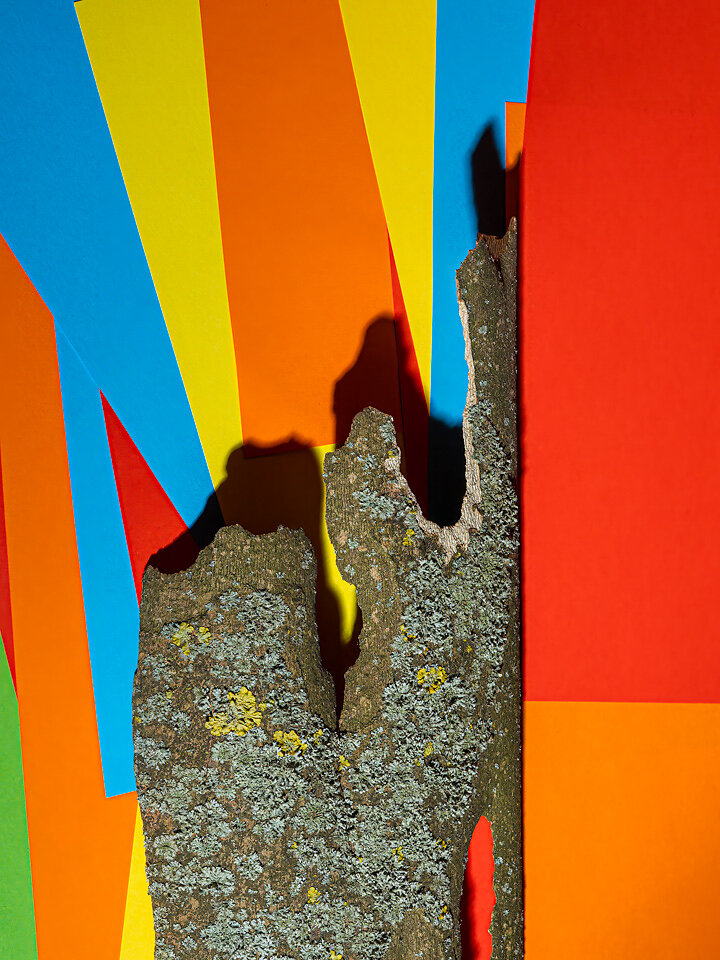 'Wunderland' (Hard Boiled-Wonderland)